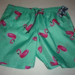 Enna Seafoam ~ Flamingo Swim Trunks